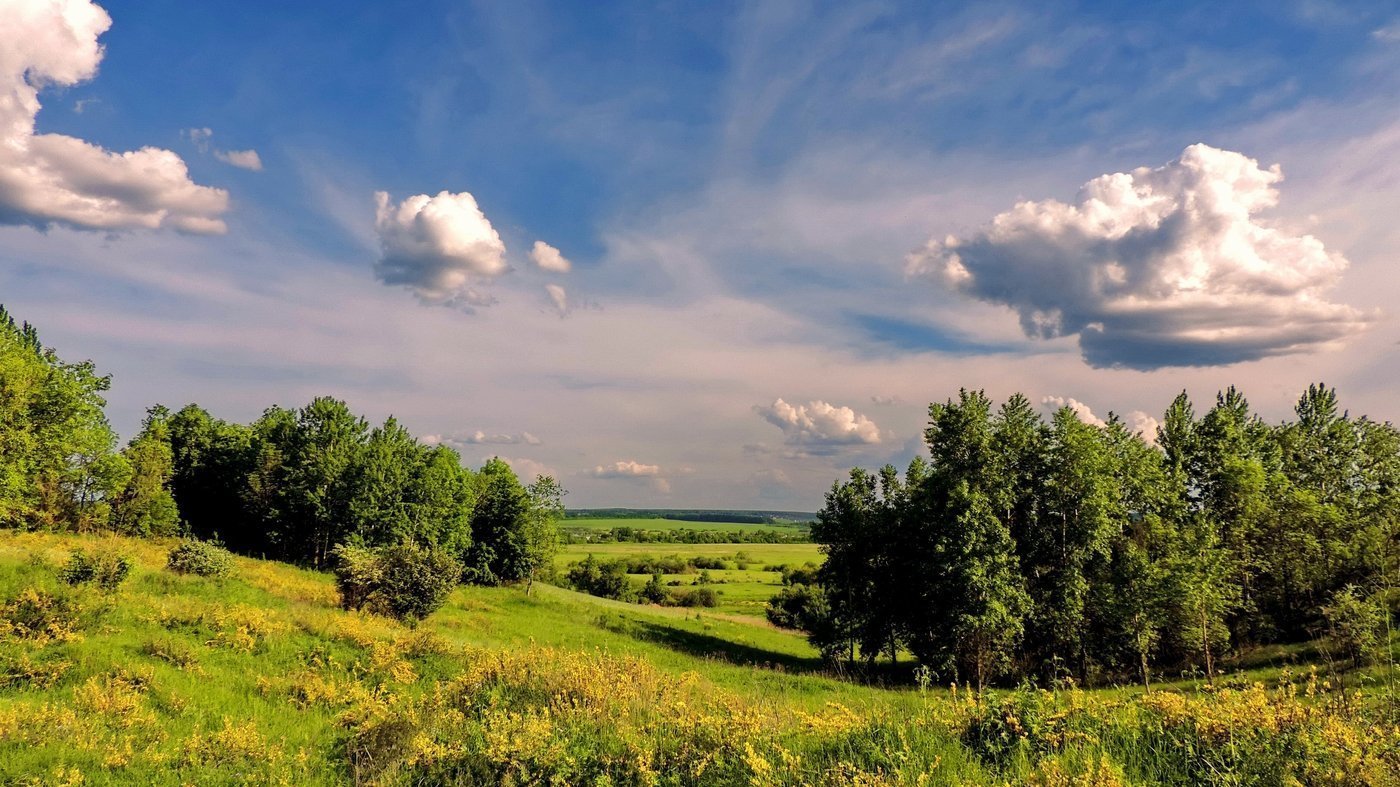 &quot;Родные берега&quot;.